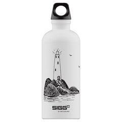 Бутылка Sigg X Muumi Lighthouse, 0.6 л цена и информация | Фляги для воды | pigu.lt