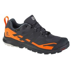 Bėgimo batai vyrams Salomon SW959430.8210, įvairių spalvų цена и информация | Кроссовки для мужчин | pigu.lt
