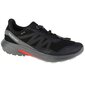 Bėgimo batai vyrams Salomon SW959421.1347, juodi цена и информация | Kedai vyrams | pigu.lt