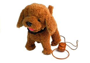 Interaktyvus šuniukas su pavadėliu kaina ir informacija | Žaislai mergaitėms | pigu.lt