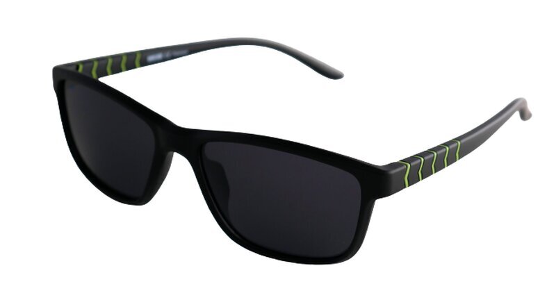 Vyriški akiniai nuo saulės Dark Side SP 102 C03 56-17, juodi su žaliu rėmeliu kaina ir informacija | Akiniai nuo saulės vyrams | pigu.lt
