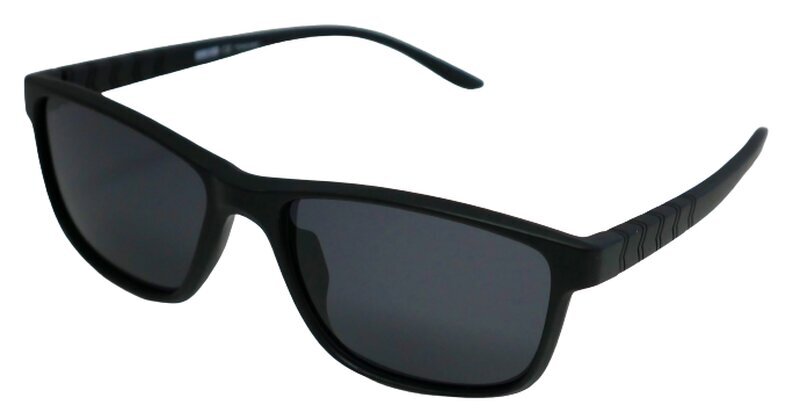 Vyriški akiniai nuo saulės Dark Side SP 102 C01 56-17, juodos spalvos rėmelis kaina ir informacija | Akiniai nuo saulės vyrams | pigu.lt