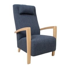 Armchair VENLA bluish grey цена и информация | Кресла в гостиную | pigu.lt