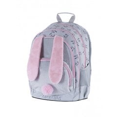Школьный рюкзак цена и информация | Школьные рюкзаки, спортивные сумки | pigu.lt