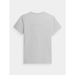 Marškinėliai vyrams Outhorn M OTHSS23TTSHM45125S, pilki kaina ir informacija | Vyriški marškinėliai | pigu.lt