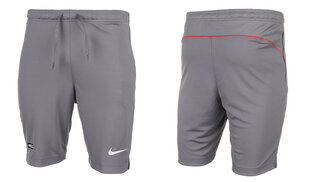 Nike šortai vyrams Dri Fit Fc Libero DH9663 065, pilki kaina ir informacija | Vyriški šortai | pigu.lt