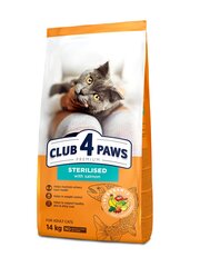 Club 4 Paws Premium suaugusioms sterilizuotoms katėms su lašiša, 14 kg kaina ir informacija | Sausas maistas katėms | pigu.lt