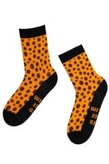 Moteriškos kojinės Sokisahtel, įvairių spalvų kaina ir informacija | Moteriškos kojinės | pigu.lt
