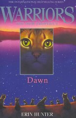 DAWN, Book 3 цена и информация | Книги для подростков  | pigu.lt