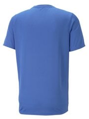 Puma marškinėliai vyrams Performance Short Sleeve Training 234238193, mėlyni kaina ir informacija | Vyriški marškinėliai | pigu.lt
