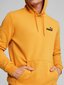 Puma džemperis vyrams Essentials Small Logo Desert Clay 234238293, geltonas kaina ir informacija | Džemperiai vyrams | pigu.lt