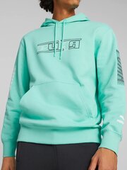 PUMA SWxP Graphic Mint 234238268 цена и информация | Мужские толстовки | pigu.lt