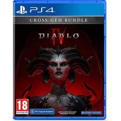 Diablo IV, PlayStation 4 - Game цена и информация | Компьютерные игры | pigu.lt