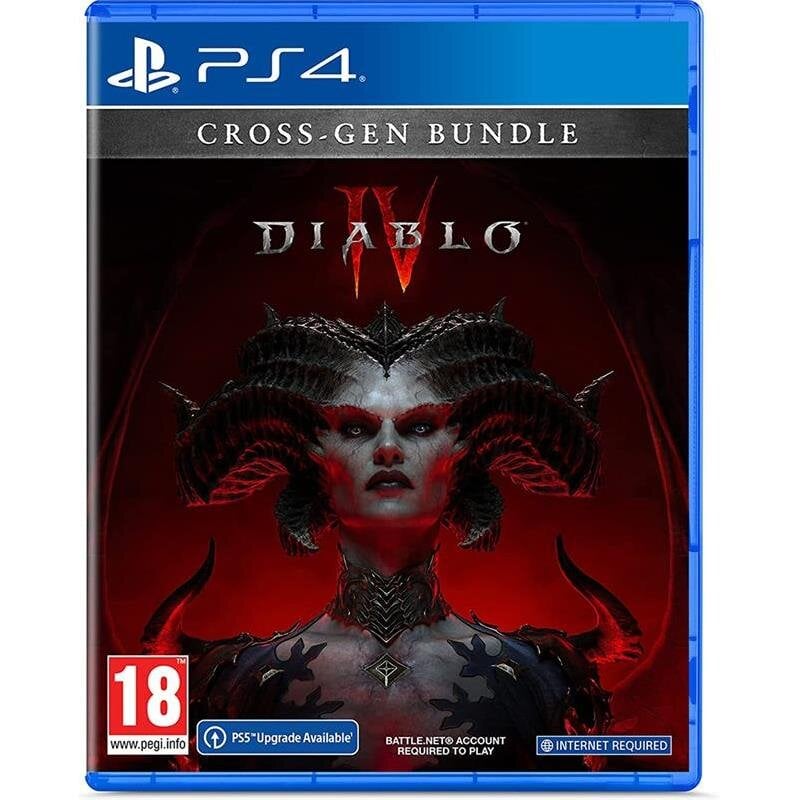 Diablo IV, PlayStation 4 - Game цена и информация | Kompiuteriniai žaidimai | pigu.lt