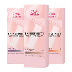 Plaukų dažai Wella Professionals Shinefinity Glaze 09/61, 60 ml цена и информация | Краска для волос | pigu.lt