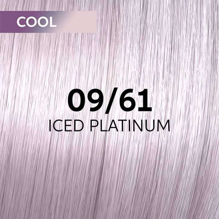 Plaukų dažai Wella Professionals Shinefinity Glaze 09/61, 60 ml цена и информация | Plaukų dažai | pigu.lt