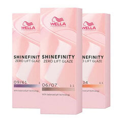 Plaukų dažai Wella Professionals Shinefinity Glaze 06/43, 60 ml цена и информация | Краска для волос | pigu.lt