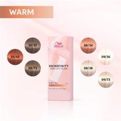 Plaukų dažai Wella Professionals Shinefinity Glaze 00/89, 60 ml kaina ir informacija | Plaukų dažai | pigu.lt