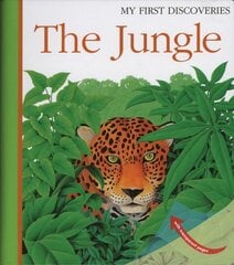 Jungle цена и информация | Книги для подростков  | pigu.lt