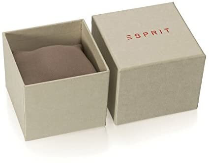Moteriškas laikrodis Esprit ES1L144M0085 kaina ir informacija | Moteriški laikrodžiai | pigu.lt