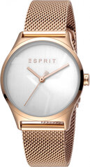 Женские часы Esprit ES1L034M0235 цена и информация | Женские часы | pigu.lt