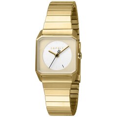 Laikrodis moterims Esprit ES1L070E0075 kaina ir informacija | Moteriški laikrodžiai | pigu.lt