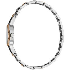 Laikrodis moterims Esprit ES1L083M0055 kaina ir informacija | Moteriški laikrodžiai | pigu.lt