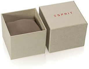 Женские часы Esprit ES1L140P0035 цена и информация | Женские часы | pigu.lt