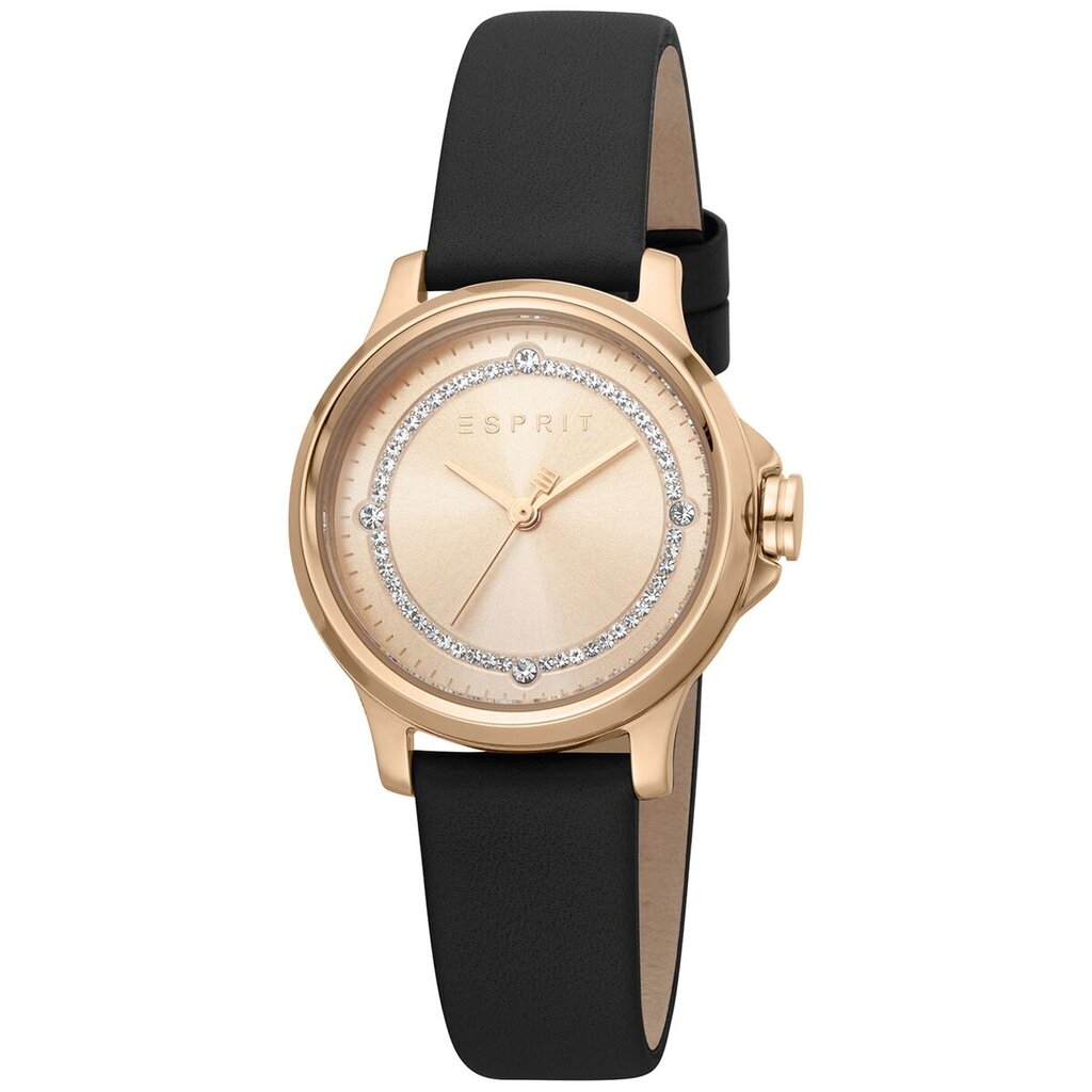 Laikrodis moterims Esprit ES1L144L0045 kaina ir informacija | Moteriški laikrodžiai | pigu.lt