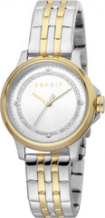 Moteriškas laikrodis Esprit Time ES1L144M0105 kaina ir informacija | Moteriški laikrodžiai | pigu.lt
