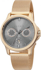 Moteriškas laikrodis Esprit Time ES1L145M0095 kaina ir informacija | Moteriški laikrodžiai | pigu.lt