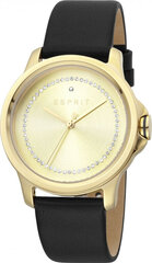 Moteriškas laikrodis Esprit S7234721 kaina ir informacija | Moteriški laikrodžiai | pigu.lt