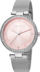 Moteriškas laikrodis Esprit Time ES1L151M0065 kaina ir informacija | Moteriški laikrodžiai | pigu.lt