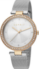 Женские часы Esprit ES1L151M0125 цена и информация | Женские часы | pigu.lt