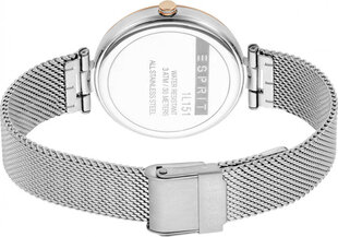 Moteriškas laikrodis Esprit S7234839 kaina ir informacija | Moteriški laikrodžiai | pigu.lt