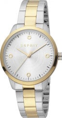 Moteriškas laikrodis Esprit Time ES1L164M0075 kaina ir informacija | Moteriški laikrodžiai | pigu.lt