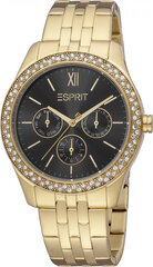 Laikrodis moterims Esprit ES1L201M1025 kaina ir informacija | Moteriški laikrodžiai | pigu.lt