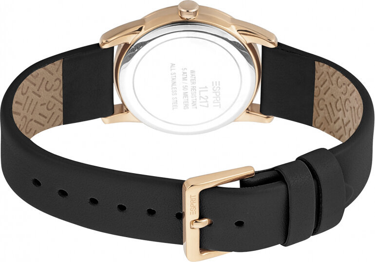 Laikrodis moterims Esprit ES1L217L1045 цена и информация | Moteriški laikrodžiai | pigu.lt