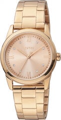 Moteriškas laikrodis Esprit Time ES1L217M1085 kaina ir informacija | Moteriški laikrodžiai | pigu.lt
