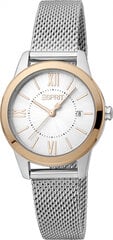 Moteriškas laikrodis Esprit Time ES1L239M1155 kaina ir informacija | Moteriški laikrodžiai | pigu.lt