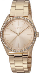 Moteriškas laikrodis Esprit Time ES1L289M0075 kaina ir informacija | Moteriški laikrodžiai | pigu.lt