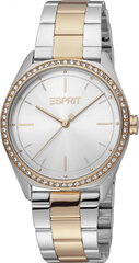 Женские часы Esprit ES1L289M0095 цена и информация | Женские часы | pigu.lt