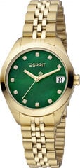 Женские часы Esprit ES1L295M0095 цена и информация | Женские часы | pigu.lt