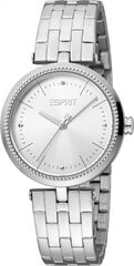 Женские часы Esprit ES1L296M0065 цена и информация | Женские часы | pigu.lt