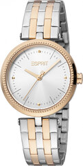 Женские часы Esprit ES1L296M0125 цена и информация | Женские часы | pigu.lt