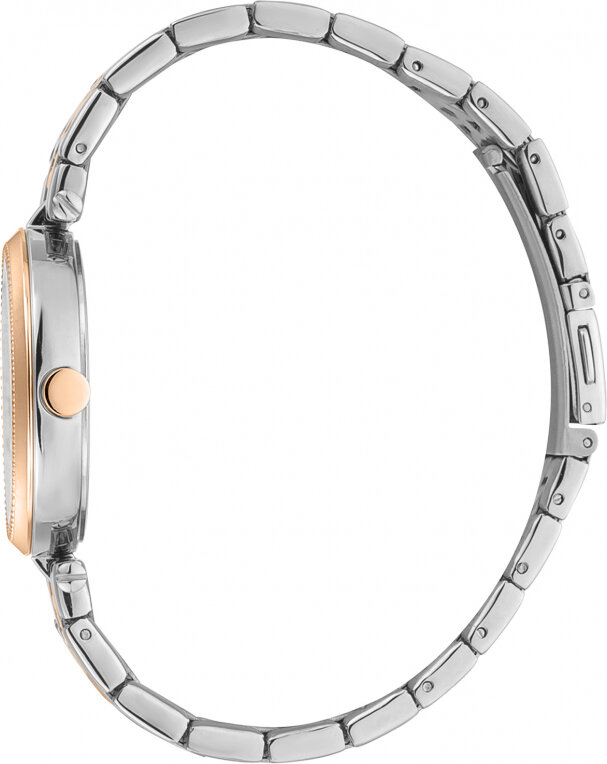 Moteriškas laikrodis Esprit Time ES1L296M0125 kaina ir informacija | Moteriški laikrodžiai | pigu.lt