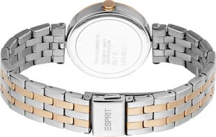 Moteriškas laikrodis Esprit Time ES1L296M0125 kaina ir informacija | Moteriški laikrodžiai | pigu.lt