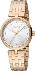 Женские часы Esprit ES1L310M0105 цена и информация | Женские часы | pigu.lt