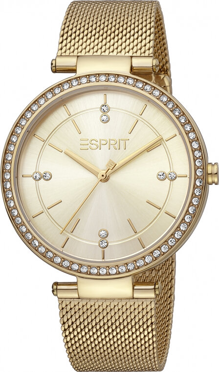 Moteriškas laikrodis Esprit Time ES1L310M0135 kaina ir informacija | Moteriški laikrodžiai | pigu.lt