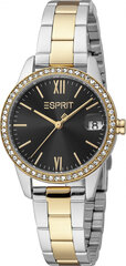 Moteriškas laikrodis Esprit Time ES1L315M0115 kaina ir informacija | Moteriški laikrodžiai | pigu.lt